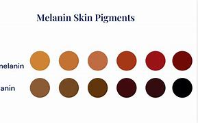 Image result for Melanin Skin Tone