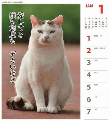 猫とカレンダー に対する画像結果