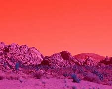 Image result for Roger Waters Desert Trip