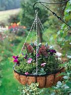 Image result for Hanging Flower Pots