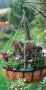 Image result for Hanging Plant Hangers Outdoor