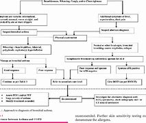 Image result for Bronchial Asthma Treatment