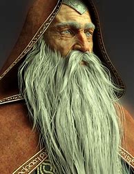 Image result for Wizard Beard