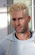 Image result for Adam Levine Blonde Hair