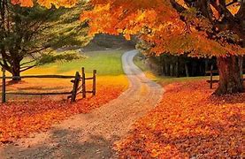 Image result for Beautiful Autumn Desktop Backgrounds