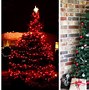 Image result for Outdoor Christmas Trees with Lights