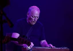 Image result for David Gilmour Live Pictures