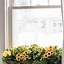 Image result for Homemade Planters Ideas