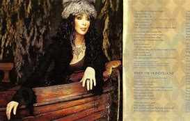 Image result for Cher Living Proof