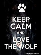 Image result for Keep Calm Wolf