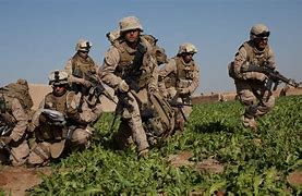 Image result for Afghanistan Combat