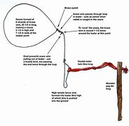 Image result for Rabbit Snare Anchor