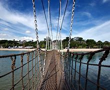 Image result for Singapore Hanging Bridge