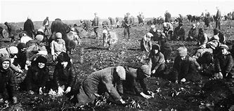 Image result for Stalin Ukraine Famine