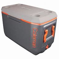 Image result for portable ice box cooler