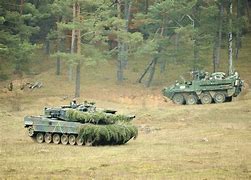 Image result for SS German Army
