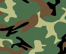 Image result for Active Camouflage