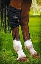 Image result for Back On Track Therapeutic Hock Boots W/ Holes- Single Boot