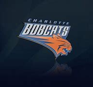 Image result for Charloett Bobcats