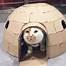 Image result for Cartoon Puns Cat