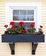 Image result for Inside Window Planters