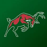Image result for Milwaukee Bucks Logo Concept