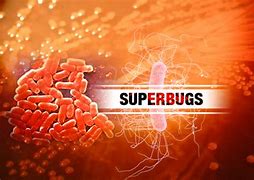 Image result for What Is a Superbug