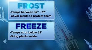 Image result for Energy Efficient Frost Free Chest Freezer