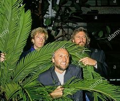 Image result for Bee Gees and Andy Gibb