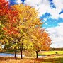 Image result for Autumn Widescreen Desktop Wallpaper