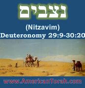 Image result for  Deuteronomy 29:10(9) - 30:20