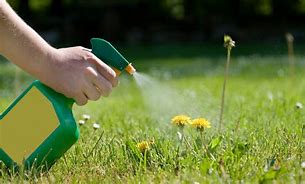 Image result for Chemical Weed Control