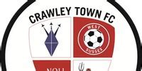 Image result for Crawley Badge