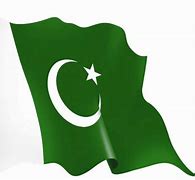 Image result for East Pakistan Flag