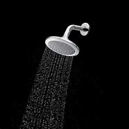 Image result for Shower Head Up and Down