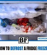 Image result for How to Defrost Fridge Freezer