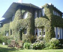 Image result for Nancy Poliesi House Wall