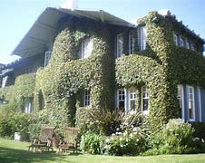 Image result for House On Island
