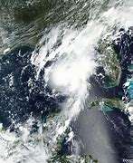 Image result for Marco Hurricane Us