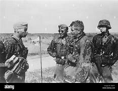 Image result for Waffen SS Eastern Front