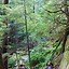 Image result for Bridal Veil Falls Washington Hike