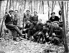 Image result for Maquis French Resistance