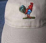 Image result for Rooster Tin Foil Hat