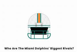 Image result for Miami Dolphins Hoodie