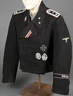 Image result for 1st SS Panzer Division Uniforms