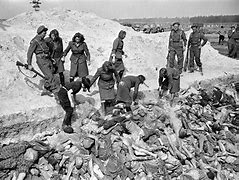 Image result for Bergen-Belsen Liberated