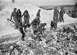 Image result for Bergen-Belsen Concentration Camp Germany
