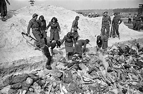 Image result for Belsen Camp