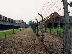 Image result for Auschwitz Concentration Camp Irma Grese