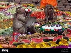 Image result for Lopburi Monkey Banquet